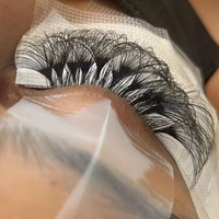 Extensions de cils en soie individuelles effet volume intense, courbure C et D, finition mate, 8-25mm, plateaux de cils en cachemire
