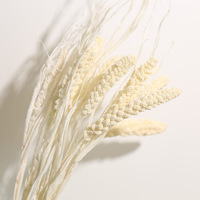 Bouquet de fleurs séchées préservées, tiges de millet arc-en-ciel, herbe séchée pour décoration de vase, centre de table pour la maison, le bureau ou un mariage, fournisseur en gros