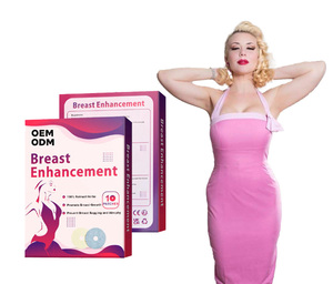 ホットトレンドOEM ODMカスタム中国産天然ハーブバストアップパッチ（不織布ハーブエキス配合、ISO認証取得済み） - Product Image 1