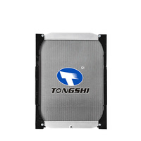 Radiateur de camion TONGSHI en aluminium et plastique neuf pour Daewoo NOVUS MT, système de refroidissement, réservoir d'eau, OEM 32611-01090 avec garantie d'un an