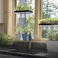 투명 아크릴 선반-흡입 컵 실내 식물 홀더 식물 창 선반