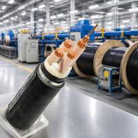 Câble basse tension blindé en fil d'acier avec conducteur en cuivre, isolation XLPE, 0,6/1 KV, modèle CU/XLPE/SWA/PVC, construction industrielle