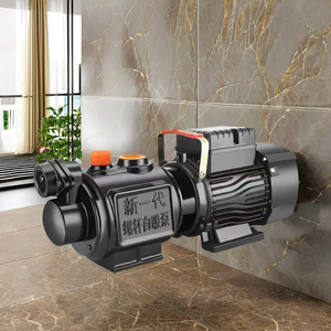 สกรูปั๊มดูดน้ำอัตโนมัติ220V, ปั๊มดูดน้ำ220 46ปี - Product Image 2