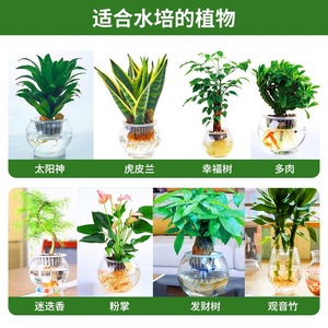 Pots de fleurs en plastique à arrosage automatique, pots de fleurs pour personnes paresseuses, adaptés à l'intérieur, en différentes formes et tailles. - Product Image 6