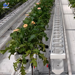 Hydroponic Strawberry Growing Gutter Bracket Type <strong>Plant</strong> Growing <strong>Trough</strong> <strong>for</strong> <strong>Garden</strong> Planting - Product Image 2