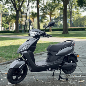 Moto électrique personnalisée à grande vitesse 45 km/h L1e-b COC pour deux passagers - Product Image 3