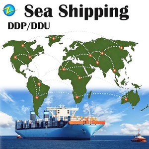 本地物流服务 中国货运代理公司到英国拼箱运输 DDP 青岛-集装箱运输-到英国 从中国浙江出发 - Product Image 3