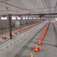 Matériel d'élevage de volailles Matériel d'élevage pour poulets de chair Matériel d'élevage pour poulets de chair et poulets de chair à vendre