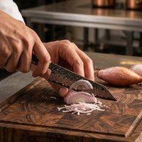 Cuchillo de Cocina KitchenBliss Vg10, Diseño Tricolor en Relieve, Cuchillo Japonés de Chef Kiritsuke, Cuchillo para Frutas