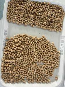 Machine <span class=keywords><strong>de</strong></span> tri <span class=keywords><strong>de</strong></span> couleurs à haute efficacité, <span class=keywords><strong>type</strong></span> chute, capacité 99,9 %, précision 99,9 % - Product Image 4