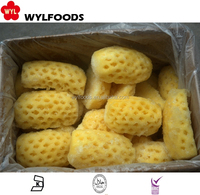 Premium Iqf Bevroren Ananas-Snufje In Bulk Met Water Geconserveerd Fruit Voor Importeurs En Groothandels