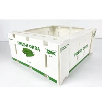 Boîtes d'Emballage de Gros pour Fruits et Légumes Frais en PP Plastique Ondulé, Caisses de Manutention pour Okra Empilables en PP Alvéolaire pour Expédition
