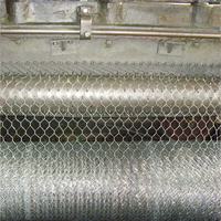 Grillage hexagonal en fer galvanisé à petits trous, clôture de ferme, cages, soudé, tissé, traité par pliage, revêtu de PVC