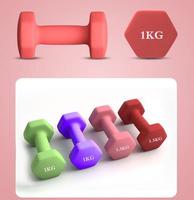 Haltère hexagonal réglable unisexe en caoutchouc et fonte, multicolore, avec disques de musculation, kettlebell, 1 kg à 5 kg par increment, pour usage domestique