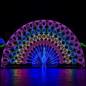 Fabricant de lumières LED 3D à motif paon pour Noël, fournisseur chinois de décorations de vacances extérieures personnalisées, OEM ODM - Product Image 1