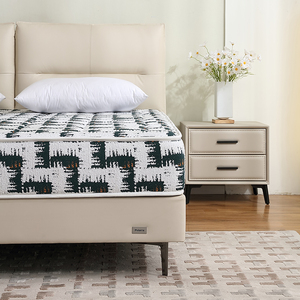 Nữ Hoàng Kích Thước Bộ Đồ Giường Nệm Tùy Chỉnh Kích Thước Cuộn Lên Thoải Mái Bộ Nhớ Bọt Mùa Xuân Nệm - Product Image 3