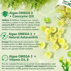 Gummies Oméga <span class=keywords><strong>3</strong></span> OEM 2200mg à base d'huile d'algues, Gummies DHA pour femmes et hommes, alternative végétalienne à l'huile de poisson Oméga <span class=keywords><strong>3</strong></span> - Product Image 3