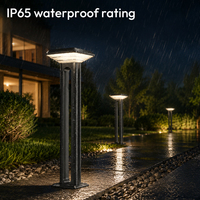 Lampadaire solaire de jardin étanche IP65 en aluminium moulé sous pression avec détecteur de mouvement, 10W, en PC, design tendance, en promotion