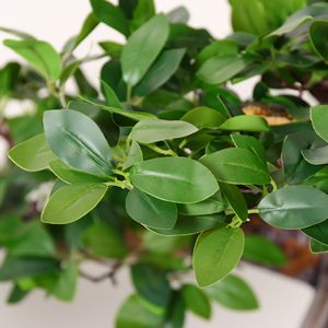 Arbre Baobab <span class=keywords><strong>en</strong></span> plastique, plante artificielle <span class=keywords><strong>en</strong></span> <span class=keywords><strong>pot</strong></span>, pour l'intérieur et l'extérieur, décoration <span class=keywords><strong>de</strong></span> bureau, jardin, décoration <span class=keywords><strong>de</strong></span> la maison, plantes artificielles - Product Image 3
