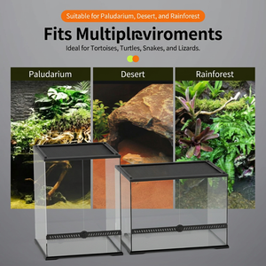 Grand terrarium en verre pour reptiles, double porte, ventilation supérieure, vivarium terrestre pour amphibiens, serpents, lézards, geckos - Product Image 2