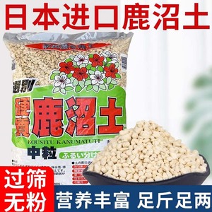 Granulés de terre Kanuma pour mélange de culture de plantes succulentes, bonsaïs et orchidées, bonne aération, importé du Japon - Product Image 5