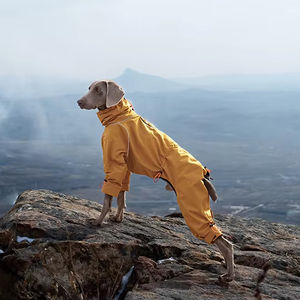 PETBUCK Clásico Moderno Impermeable Abrigo de Lluvia para Perro con Forro Térmico para Actividades al Aire Libre - Product Image 1