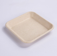 Wegwerp servies vierkante bagasse pulp schaal, extra sterk, 100% biologisch afbreekbaar voor voedsel, fruit, restaurants, bruiloften en feesten