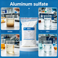 Sulfate d'aluminium 17% 10-20 Mesh, coagulant granulaire pour le traitement de l'eau potable et des eaux usées, avec certificat ISO NSF HALAL