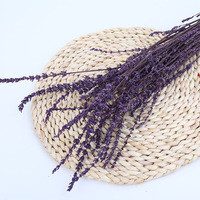 Bunga Malaikat, Bunga Lavender Kering, Rangkaian Bunga, Dekorasi Meja, Natal, Tahun Baru, Hari Valentine, Halloween, Centerpiece, Panjang