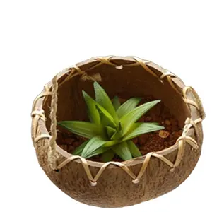 COCO-ECO Bonsai Bloempot Plantenbakken Voor Vetplanten Hangende Potten/Kokosplanter Pot Gladde Kokosnoot Planter