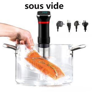 Machine <span class=keywords><strong>sous</strong></span> <span class=keywords><strong>vide</strong></span> électrique pour cuisson à basse température, décongélation et mise <span class=keywords><strong>sous</strong></span> <span class=keywords><strong>vide</strong></span> pour steak - Product Image 1