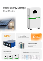Batería de Estado Sólido Todo en Uno LX-JTDC01, 100Ah, 5120Wh, 51.2v, 16kWh, con Soporte de Piso, Marca LANX, Paquete de Baterías de 6000 Ciclos