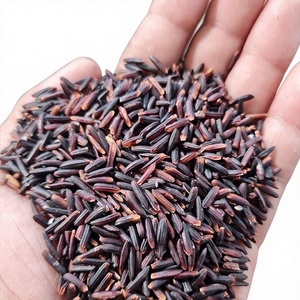 Arroz Negro Vietnamita Rico en Antioxidantes, Grano Negro Morado, Arroz Saludable (WA 0084 967 418 659) - Product Image 1
