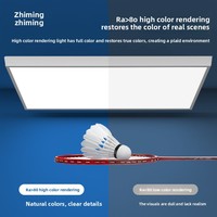 Éclairage LED Zhiming blanc laiteux pour terrain de badminton, à montage mural/plafond, panneau plat, 60W/160W, haute luminosité, boîtier en aluminium