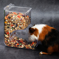 Distributeur de nourriture pour cochon d'Inde, mangeoire pour hamster, conteneur transparent pour nourriture d'écureuil et de lapin, pour petits animaux, produits pour animaux de compagnie