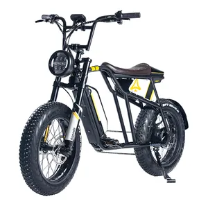 Hochwertiges 6-Geschwindigkeits-20-Zoll-Fatbike Elektrofahrrad E-Bikes Elektro-Hybridfahrrad