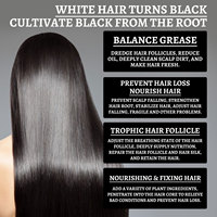 Produits de coloration capillaire à marque privée, sérum de coloration capillaire naturel au Ganoderma pour cheveux blancs et gris vers le noir
