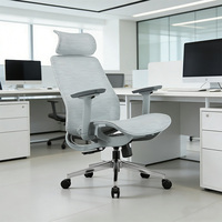 Chaise de bureau ergonomique moderne de haute qualité avec coussin lombaire en mousse à mémoire de forme 2D