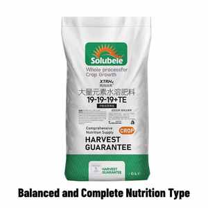 수용성 비료 NPK 복합 비료 농작물용 농업용 균형 비료 - Product Image 3