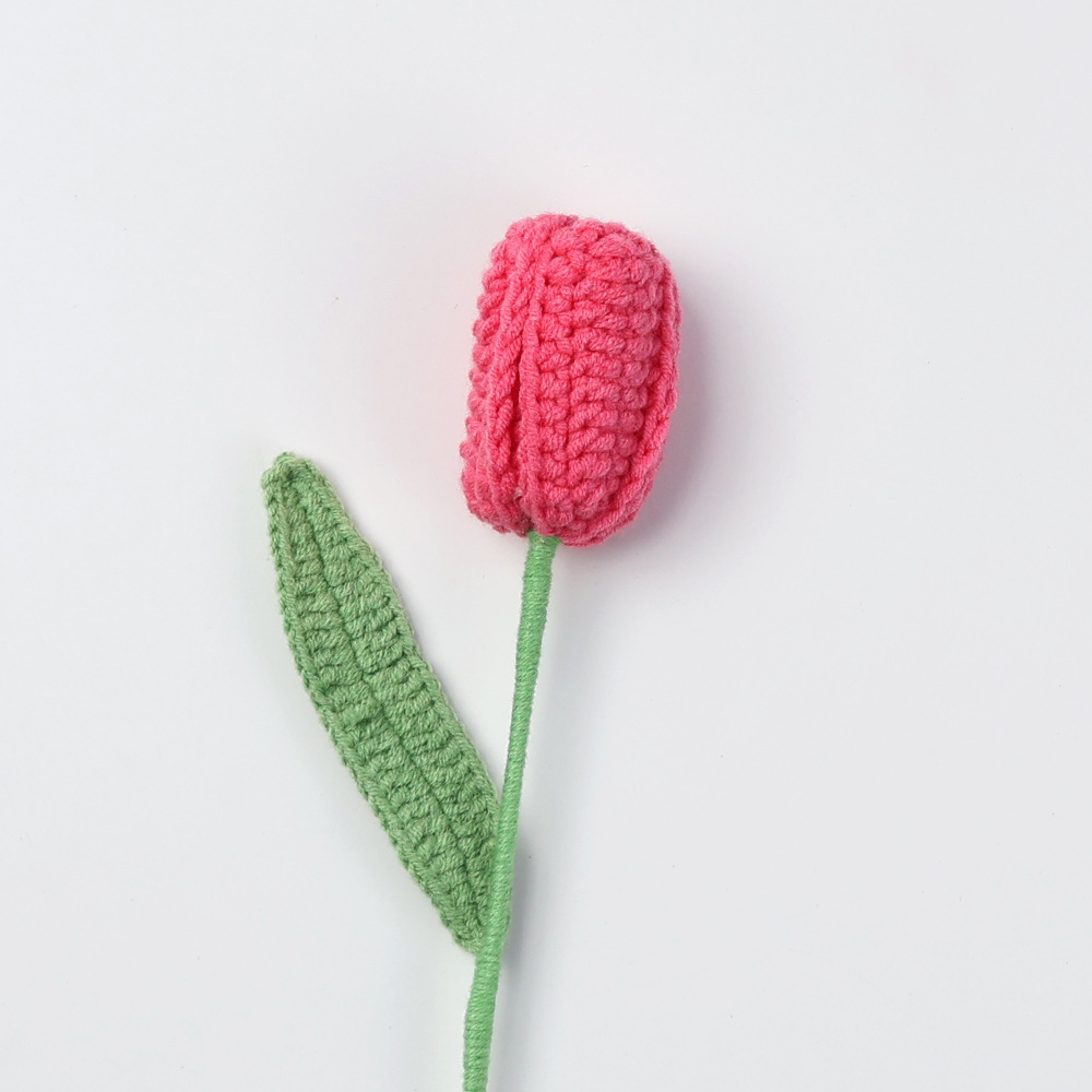 Rouge tulipe-rose fermé fini