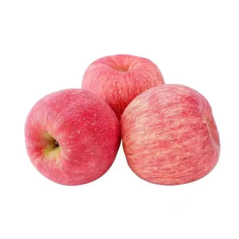 Fruta china, fabricante de manzanas frescas, manzanas frescas de Gala, manzana roja, manzana Fuji, precio