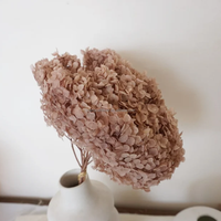 Bloemen Bruiloft Decor Natuurlijke Real Touch Geconserveerde Grote Blad Hortensia Met Lange Stengel Gedroogde Hortensia Bloemen