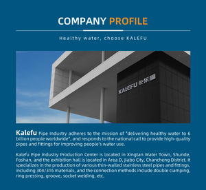 Thép không gỉ khí kiểm tra van mùa xuân không trở lại nữ bspp NPT một cách nội tuyến kiểm soát dòng chảy 1/4 trong 1 năm bảo hành - Product Image 4