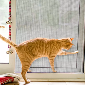 Phòng khách hiện đại màn hình lưới vải 100% Polyester dệt chống cháy không thấm nước vật nuôi kháng PVC/PE tráng - Product Image 4