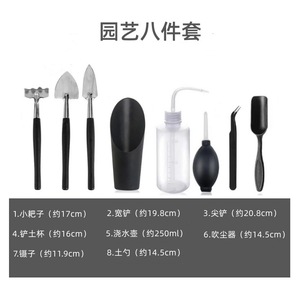 Ensemble d'outils de jardinage pour plantes succulentes miniatures avec flacon pulvérisateur et sac de rangement pour l'entretien et la maintenance des plantes d'intérieur - Product Image 3