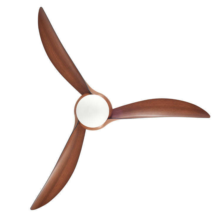 เม็ดไม้ลึก