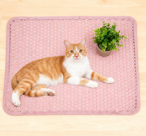 Eva Materiaal Mesh Zeef Gemakkelijk Schoon Te Maken Kattenbakmat Dubbellaags Waterdichte Urinebestendige Vangmat - Product Image 3