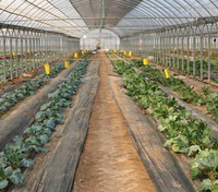 Serre à tunnel à travée unique à bas prix avec filet d'ombrage, serres agricoles sur mesure grandes