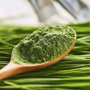 Emballage de sac vert <span class=keywords><strong>d</strong></span>'orge de style séché en poudre de jus de fruits de qualité supérieure de qualité alimentaire - Product Image 5