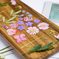 INTODIY – ensemble de fleurs séchées naturelles pressées, vente en gros pour la fabrication de résine, bougie parfumée, Nail Art